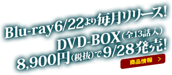 Blu-ray6/22より毎月リリース! DVD-BOX（全13話入） 8,900円（税抜）で9/28発売!